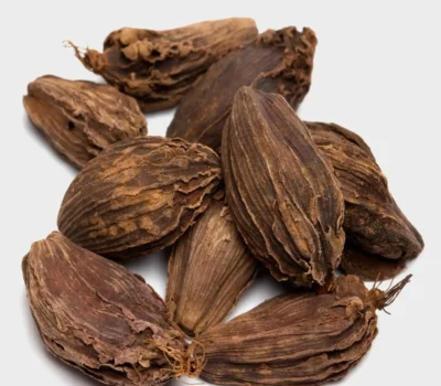 Whole dried black cardamom pods – bold, smoky Himalayan spice used in curries and traditional recipes