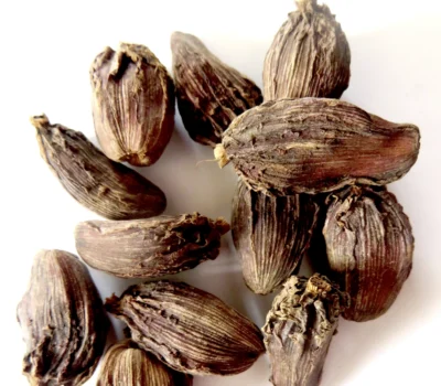 Black cardamom pods