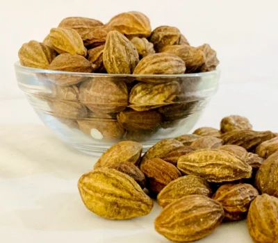 Terminalia chebula Fruits