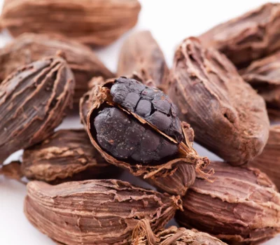Black cardamom pod