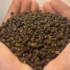 Timut Pepper – Himalayan Citrus Spice