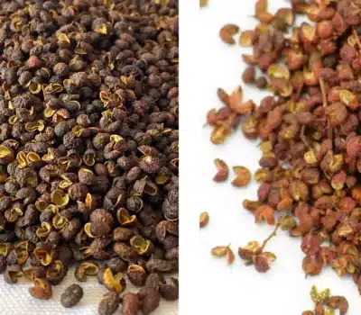 Side-by-side comparison of Timur (Timut) pepper from Nepal and Sichuan (Szechuan) pepper from China. Both spices appear as small, reddish-brown husks with dark seeds, highlighting their visual similarity. The image emphasizes their distinct geographic origins and subtle flavor differences—Timur with a citrusy aroma and Sichuan with a numbing heat.