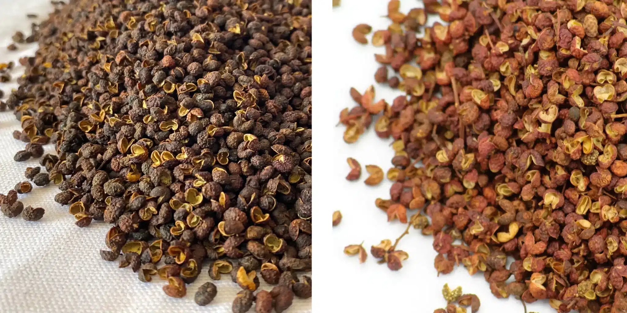 Side-by-side comparison of Timur (Timut) pepper from Nepal and Sichuan (Szechuan) pepper from China. Both spices appear as small, reddish-brown husks with dark seeds, highlighting their visual similarity. The image emphasizes their distinct geographic origins and subtle flavor differences—Timur with a citrusy aroma and Sichuan with a numbing heat.