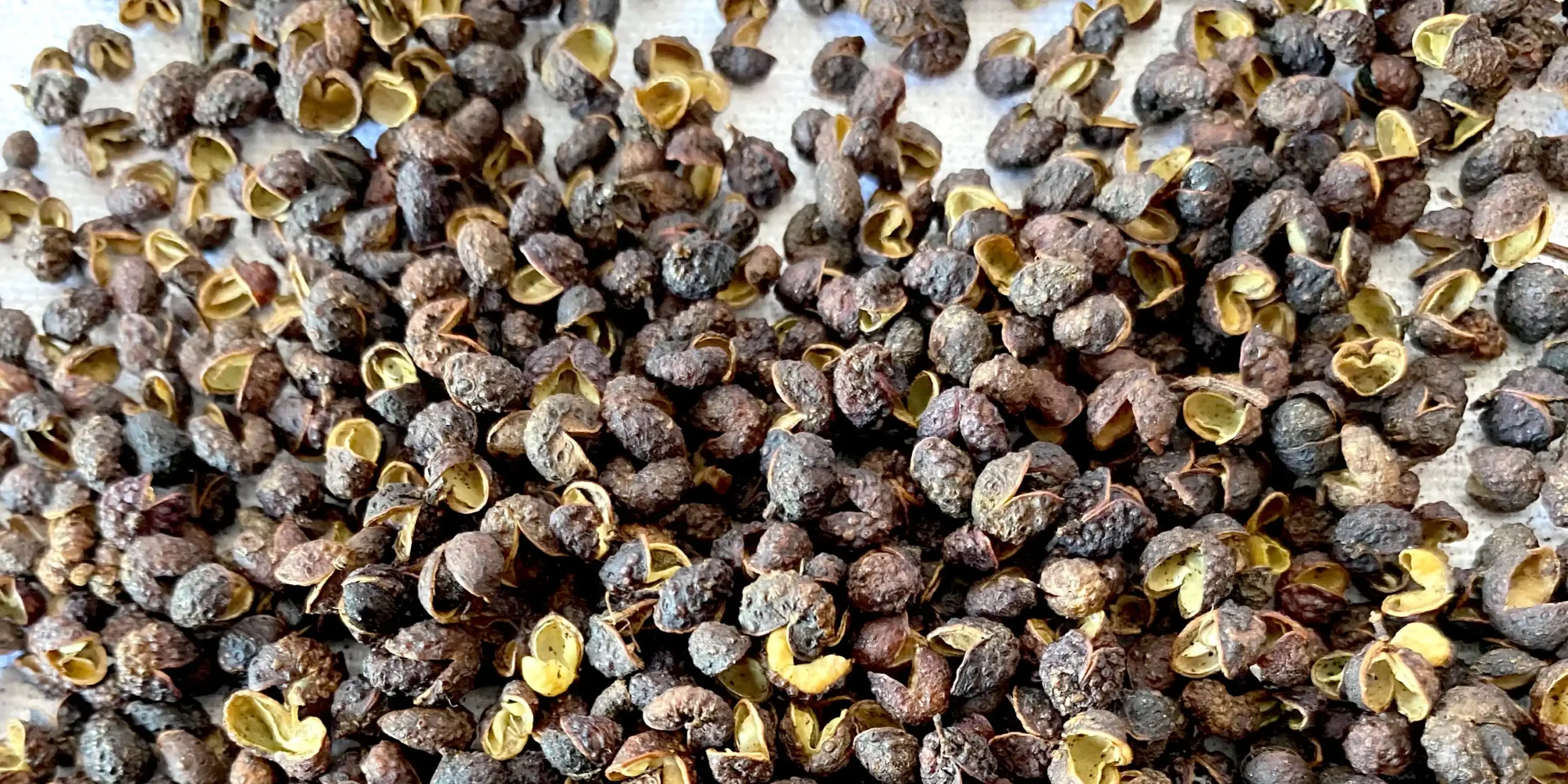 100% All Natural Timur (Timut) peppercorns from Nepal with citrus aroma from Nepal