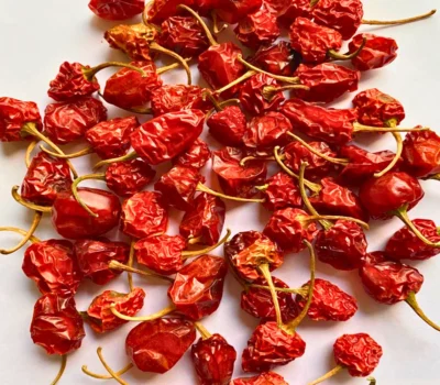 Fiery Himalayan Akabare chili pods