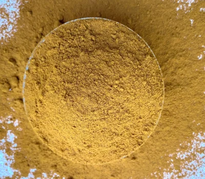 Organic turmeric roots dried and ground