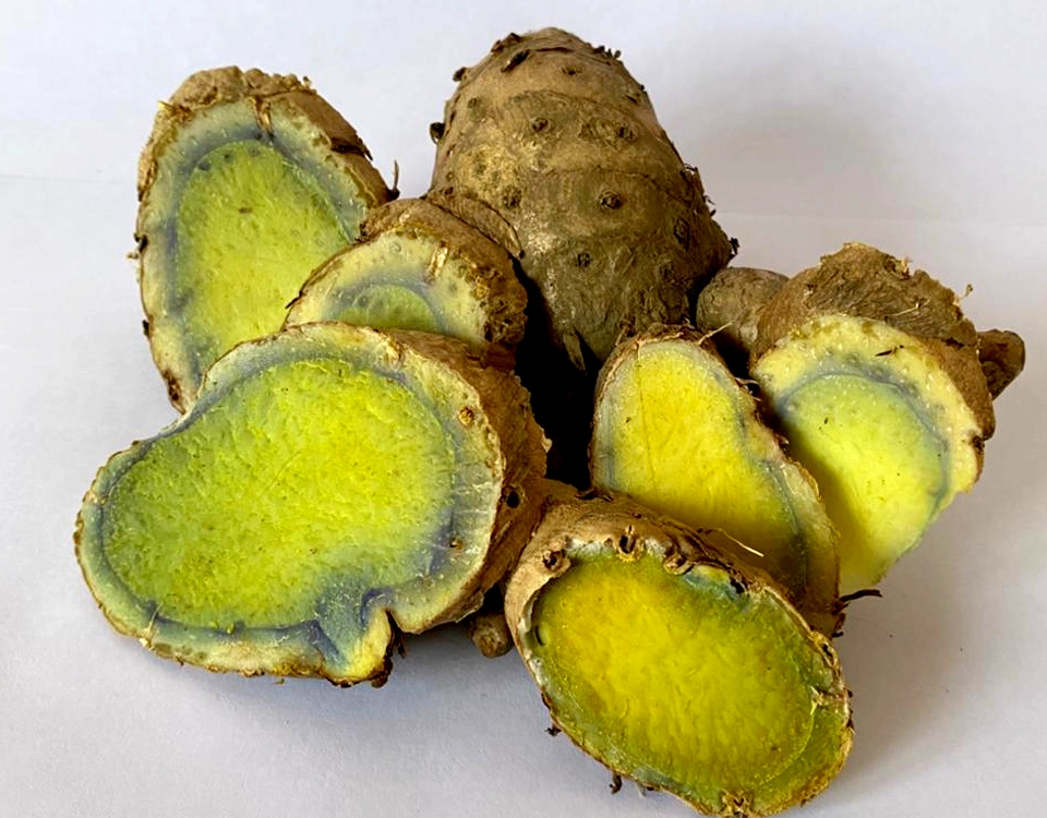 Rare Black Turmeric root with violet interior from Nepal