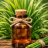 Fresh citronella plant leaves symbolizing natural essential oil extraction.